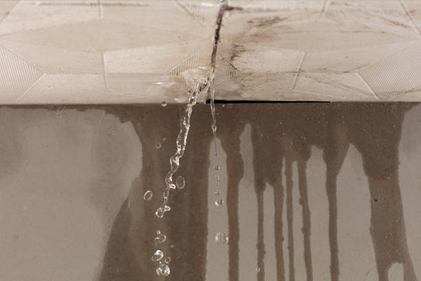 Professional Structural Drying technician working in Bokeelia, FL